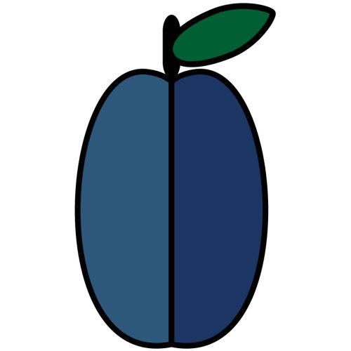 Guji Shakiso Carbonic Maceration - Image 5